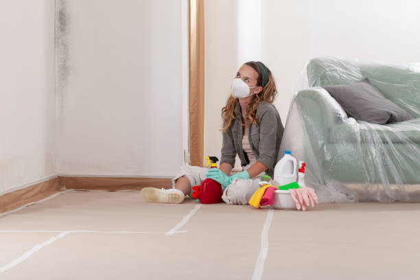 Reliable Mold Remediation contractor in Port Washington, NY by WQB Mold Removal